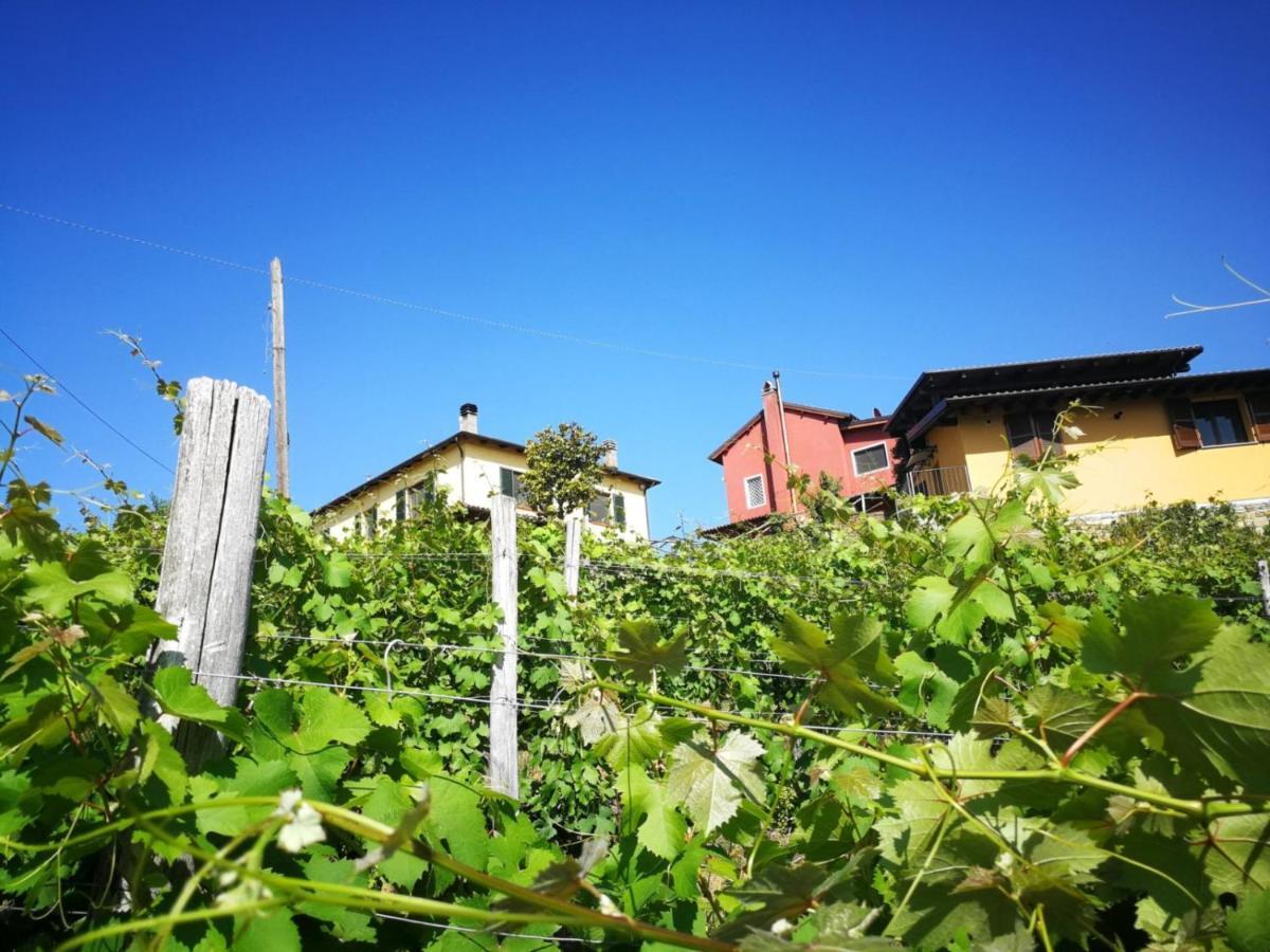 Tenuta Monteoliveto - Family Cottage - Agriturismo Nelle Langhe Vesime Exteriör bild